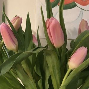 Meet your Posher, Savanna